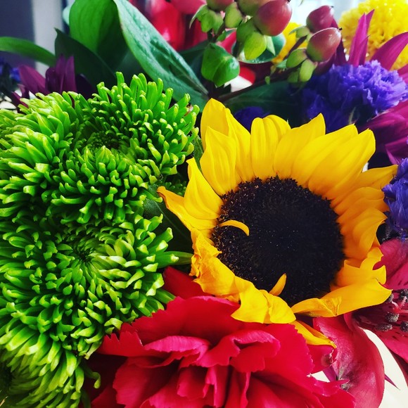 Meet the Posher Other - Meet your Posher, Amber